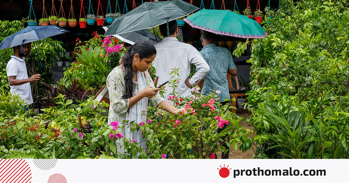 বৃক্ষমেলা নিয়ে আগ্রহ