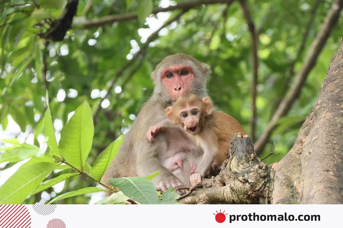 একঝলক (৩০ জুলাই ২০২৫) একঝলক (৩০ জুলাই ২০২৫)