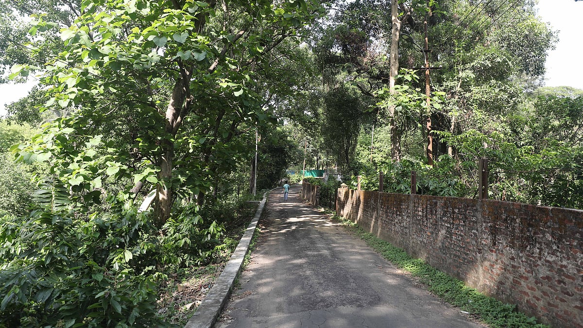 হাতির বাংলোয় যাওয়ার মূল সড়ক