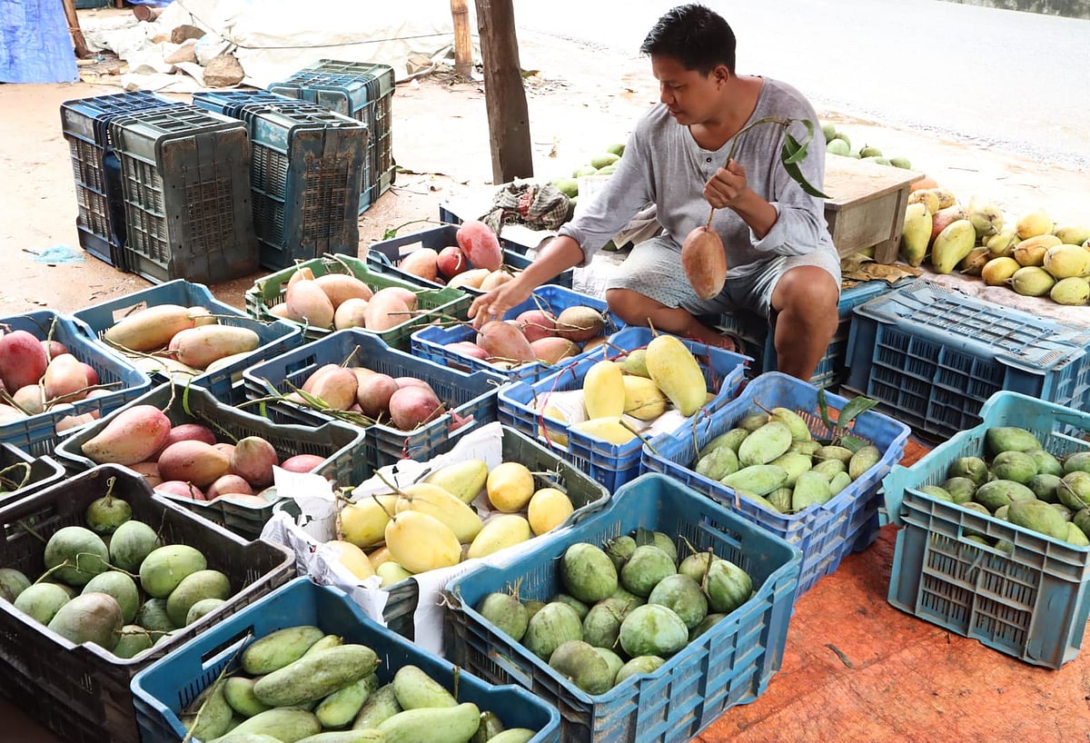 পাহাড়ে চাষ করা বিদেশি আম আছে রাঙামাটি শহরে।