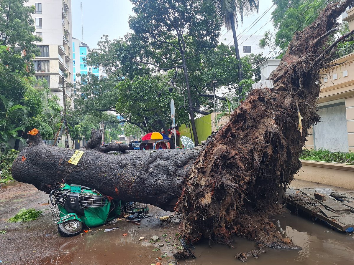 ছবি: সুজয় মহাজন 