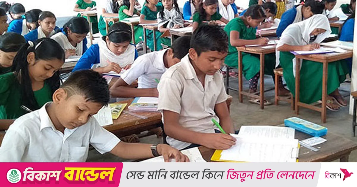 প্রাথমিক বৃত্তি পরীক্ষার্থীর তথ্য এন্ট্রি যাচাই ও অনুমোদন করার জরুরি নির্দেশনা