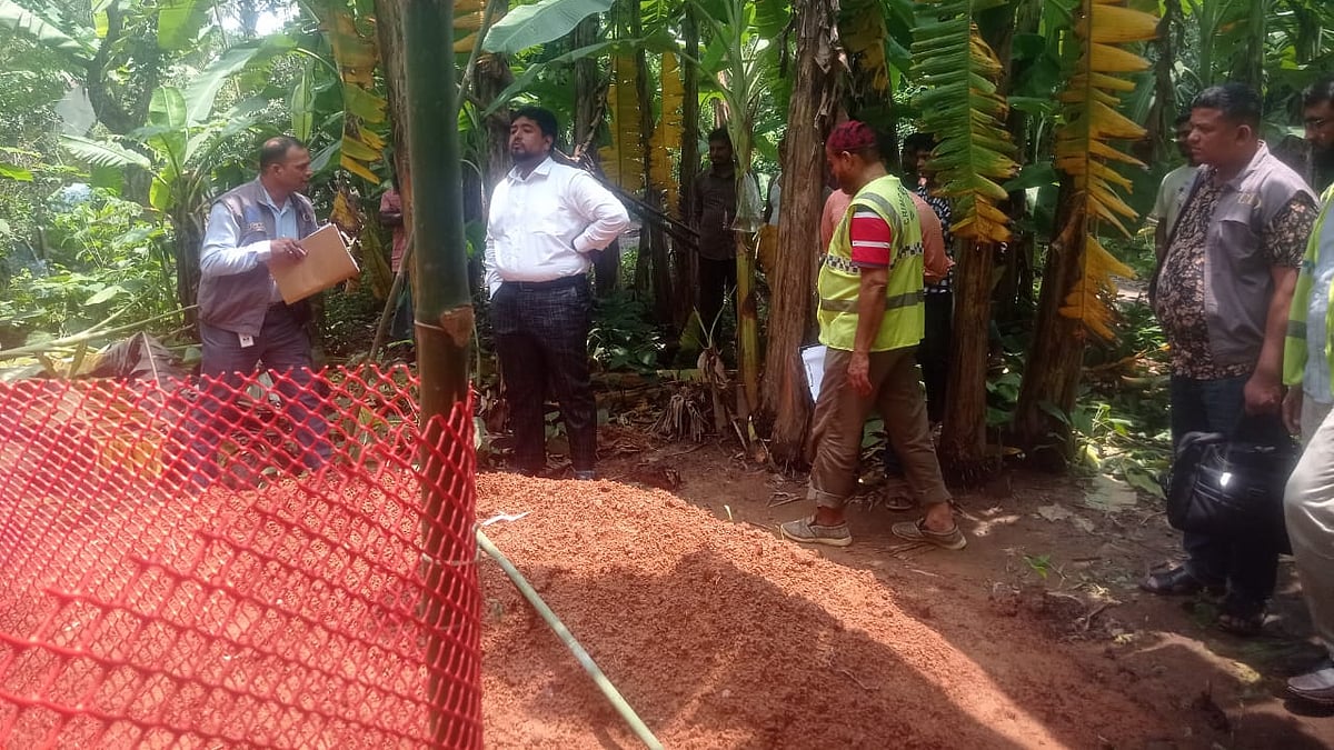 ছবি: প্রথম আলো