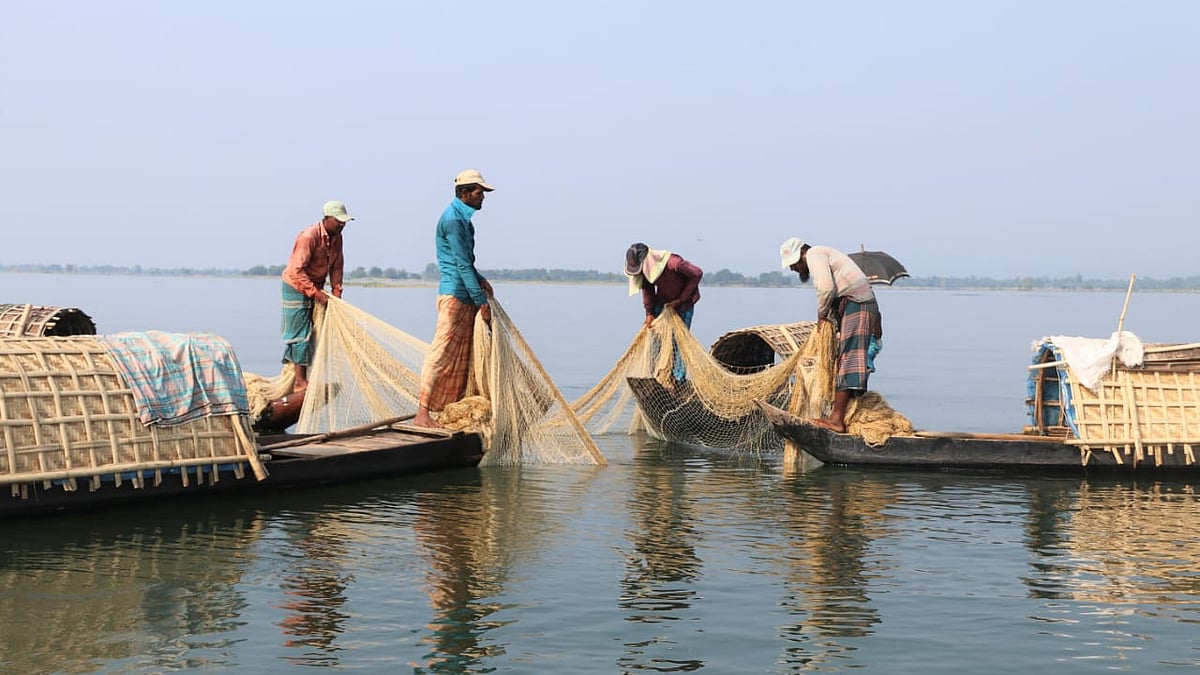 ডিঙি নৌকা ভাসিয়ে জাল দিয়ে মাছধরায় ব্যস্ত জেলেরা
