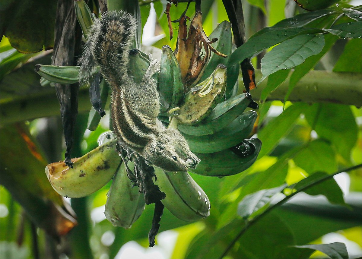ছবি: সাদ্দাম হোসেন