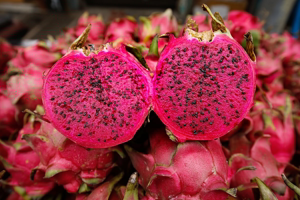 ছবি: সাদ্দাম হোসেন