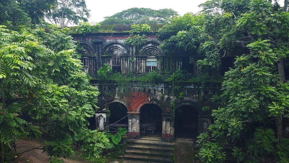 গাছপালা আর নীরবতার আবরণে ঘেরা বাড়িটি প্রকৃতির সঙ্গে লুকোচুরি খেলে দাঁড়িয়ে আছে। বরগুনার আমতলী উপজেলার ঘোপখালী গ্রামেছবি: প্রথম আলো