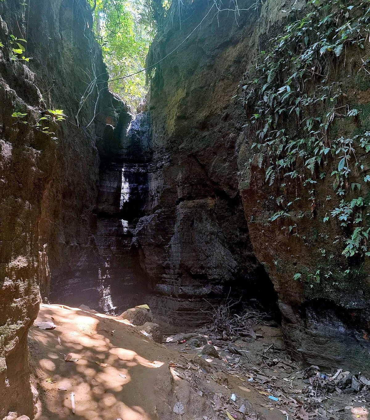 ছবি-প্রথম আলো