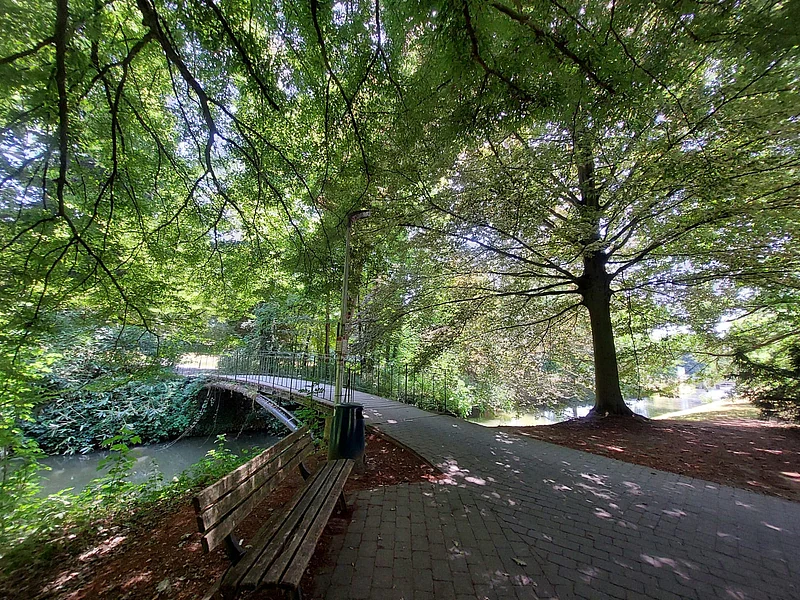 বাঁয়ে ডাইলি নদী, গাছের নিচে বেঞ্চ