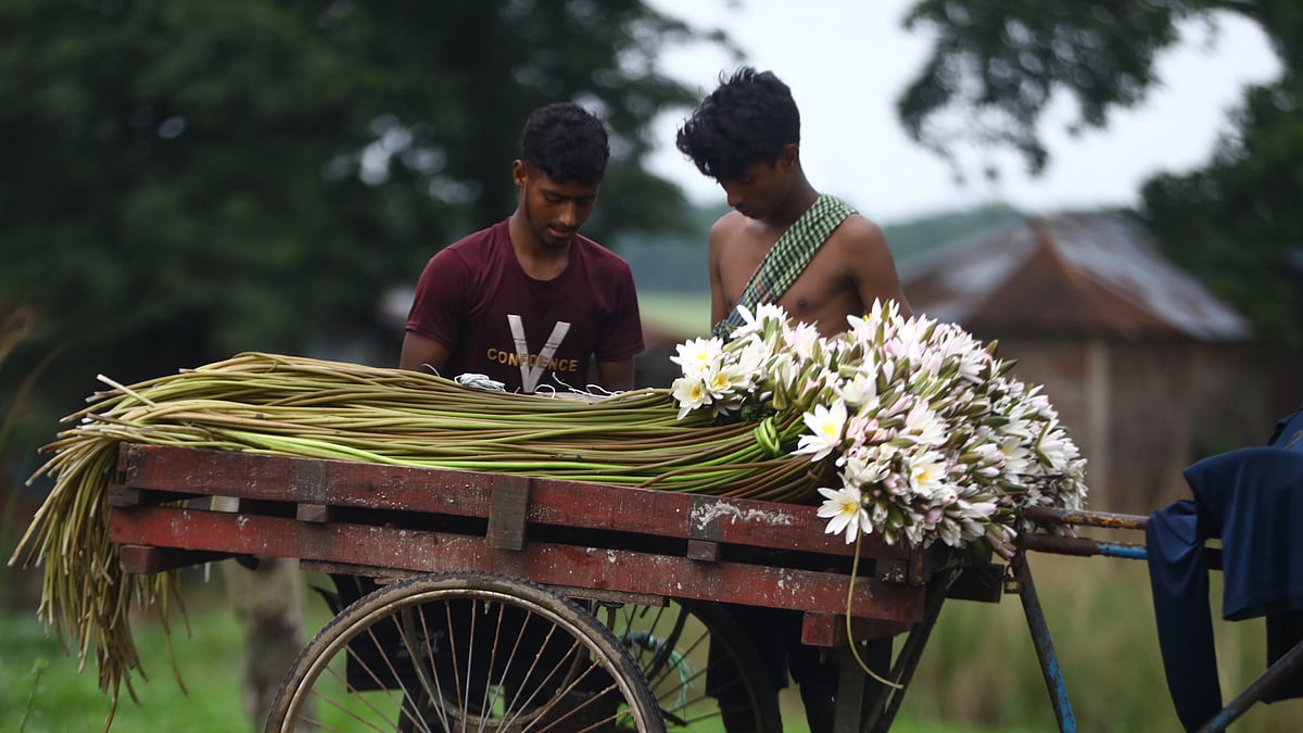ছবি: আনিস মাহমুদ