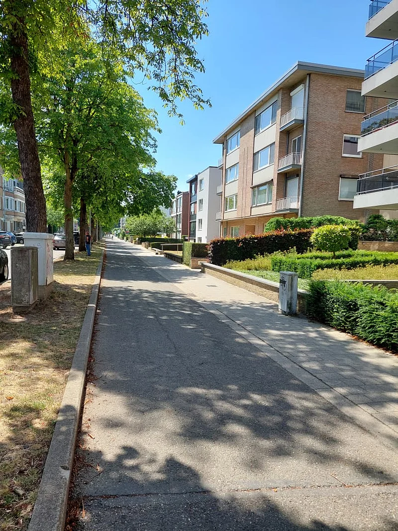 শহর থেকে পাশের বনে যাওয়ার রাস্তা