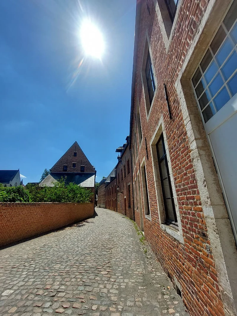 গ্রোট বেজিনার্ড