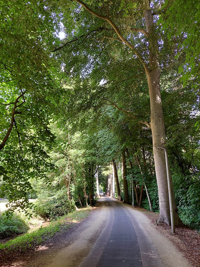 অ্যারেনবার্গ দুর্গে যাওয়ার রাস্তা