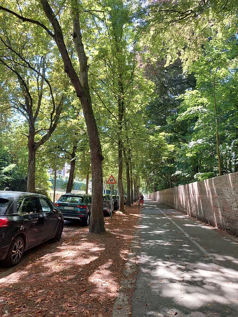 বিগ ব্যাং বাইসাইকেল রুট