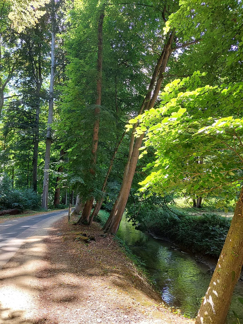 অ্যারেনবার্গ দুর্গে যাওয়ার রাস্তা, ডানে নদীর শাখা