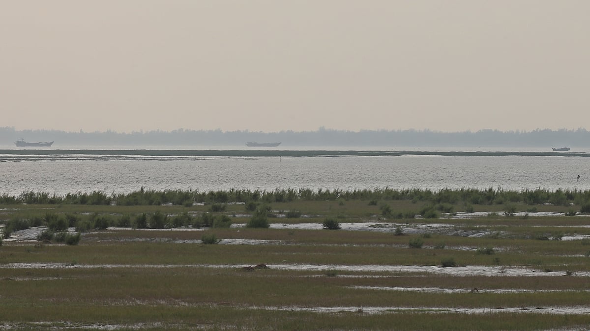 মেঘনার মোহনায় সন্দ্বীপের উত্তর-পশ্চিম উপকূলজুড়ে জেগে ওঠা সবুজ চর। সেটির পশ্চিম প্রান্তে দেখা মিলেছে এক ডুবোচরের