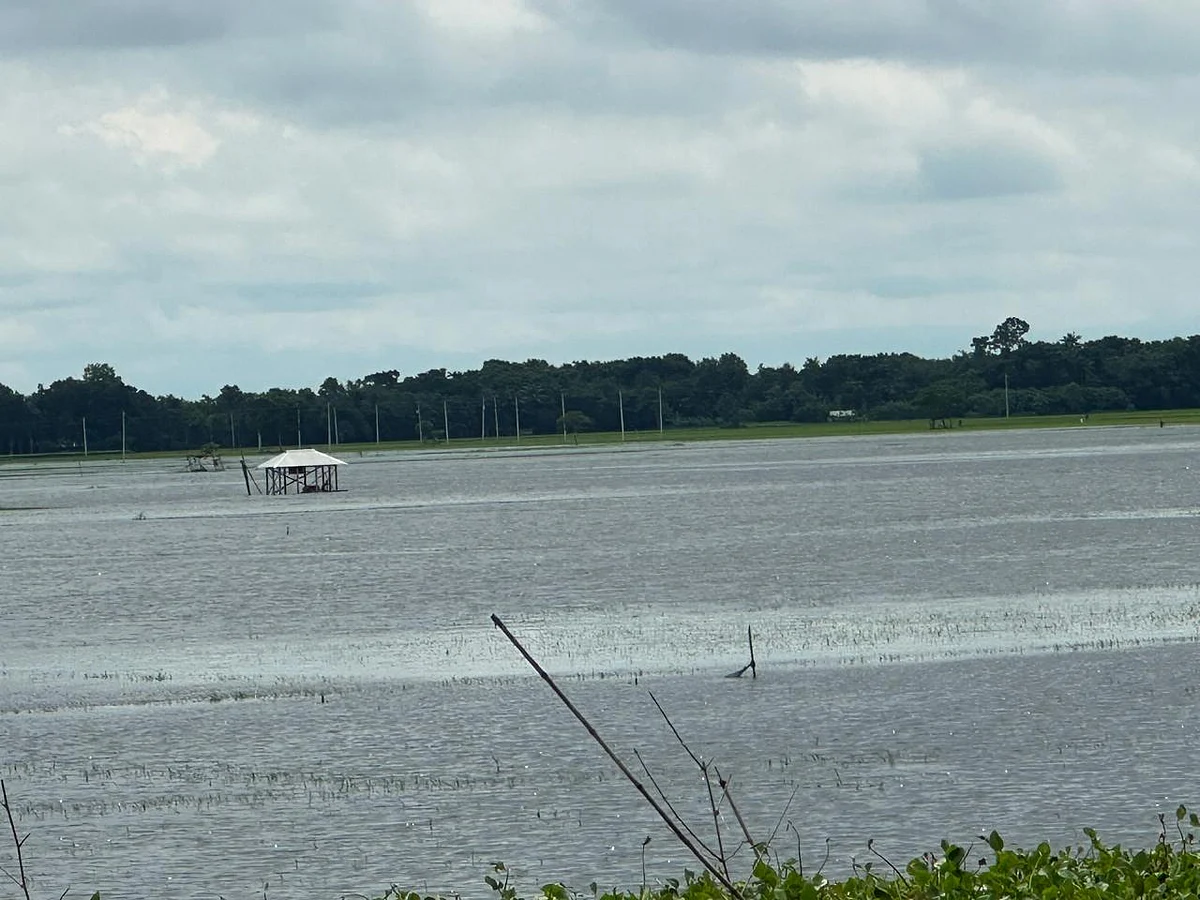 যশোরের বাঘারপাড়া উপজেলার জলাবদ্ধ খয়রা-নাওঘাটা বিল। জলাবদ্ধতার কারণে এবার বিলের বেশির ভাগ অংশে আমন ধান চাষ হচ্ছে না। সম্প্রতি তোলাছবি: প্রথম আলো