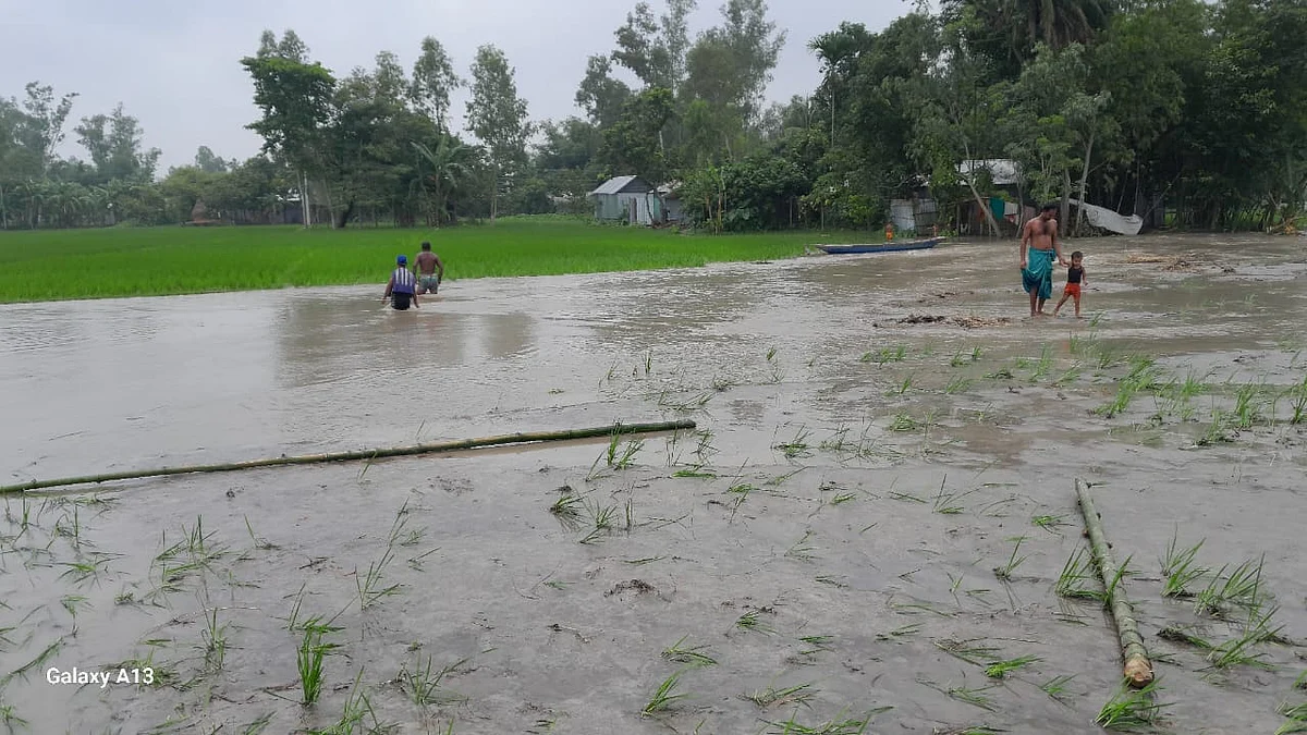 তিস্তা নদীর পানি বৃদ্ধি পাওয়ায় নিম্নাঞ্চল প্লাবিত হয়েছে। গতকাল বুধবার নীলফামারীর ডিমলা উপজেলার টেপাখড়িবাড়ি ইউনিয়নের পূর্ব খড়িবাড়ি এলাকায়ছবি : প্রথম আলো