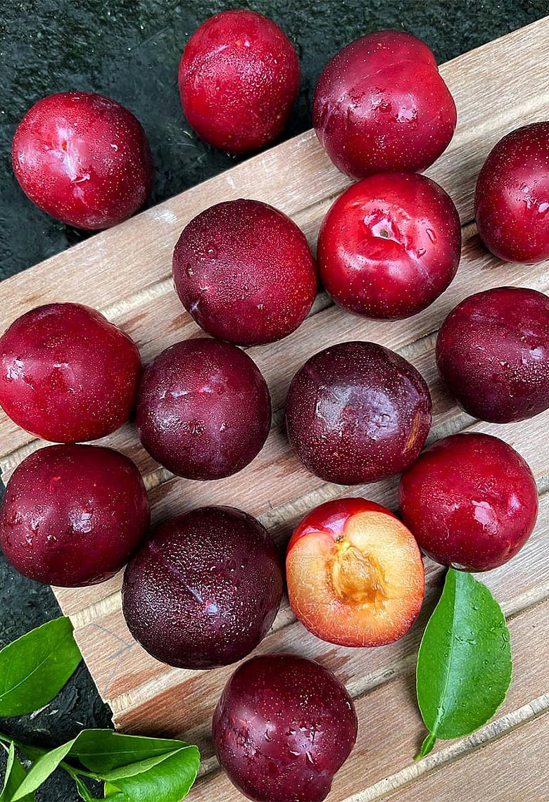 শুকনো নয়, তাজা আলুবোখারাকে বলা হচ্ছে নতুন সুপারফুড