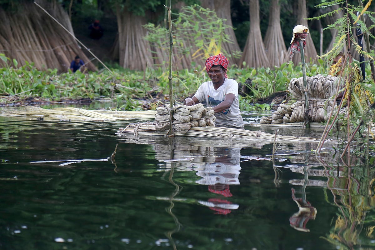 ছবি: হাসান মাহমুদ 
