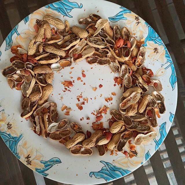 শুধু বাদাম নয়, এর খোলসে আছে নানা উপকারিতা