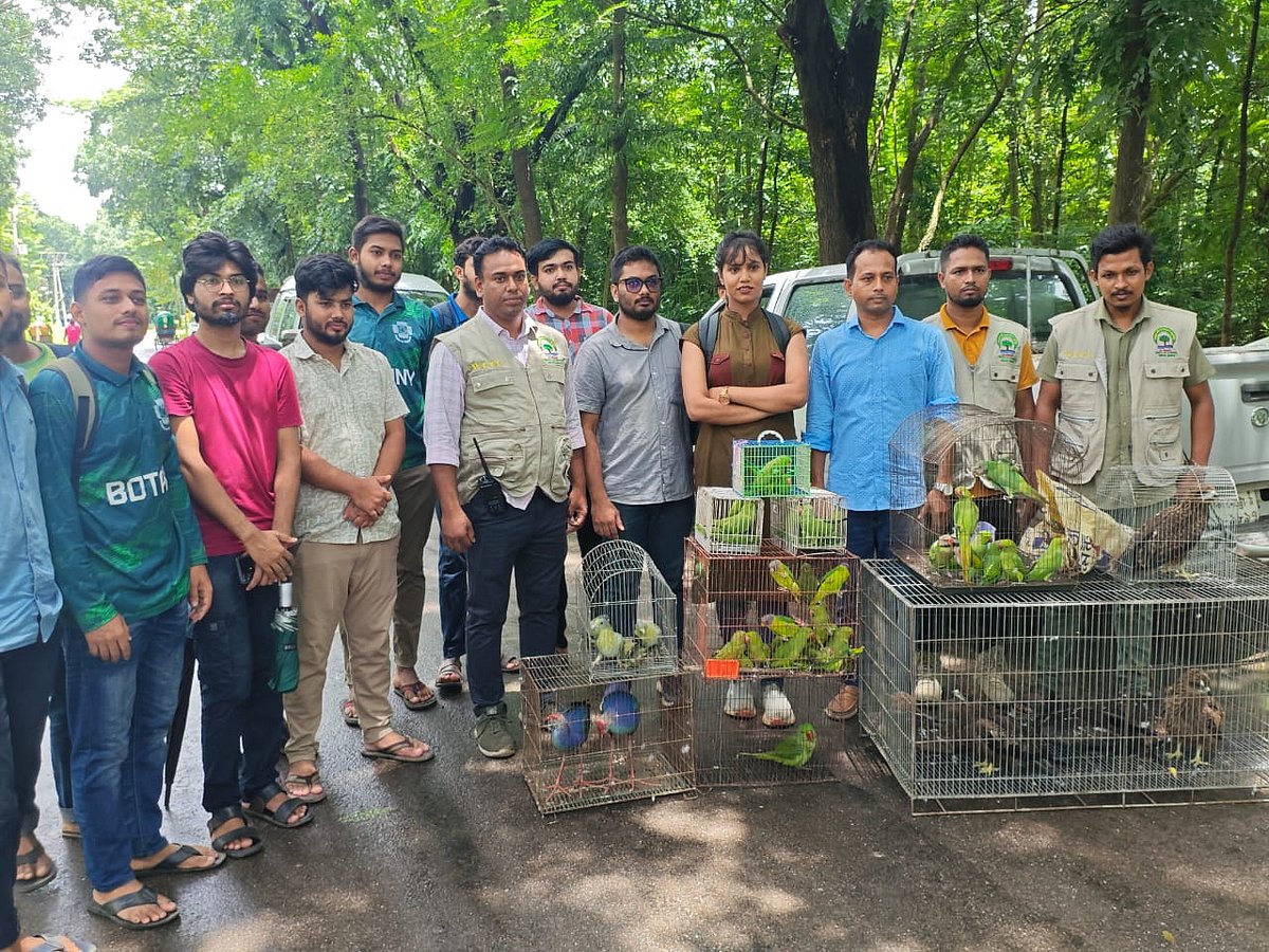 জাহাঙ্গীরনগর বিশ্ববিদ্যালয়ে বোটানিক্যাল গার্ডেন এলাকার ফাঁকা জায়গায় পাখি ও প্রাণী অবমুক্তকরা হয়েছে। আজ বৃহস্পতিবার দুপুরেছবি : প্রথম আলো
