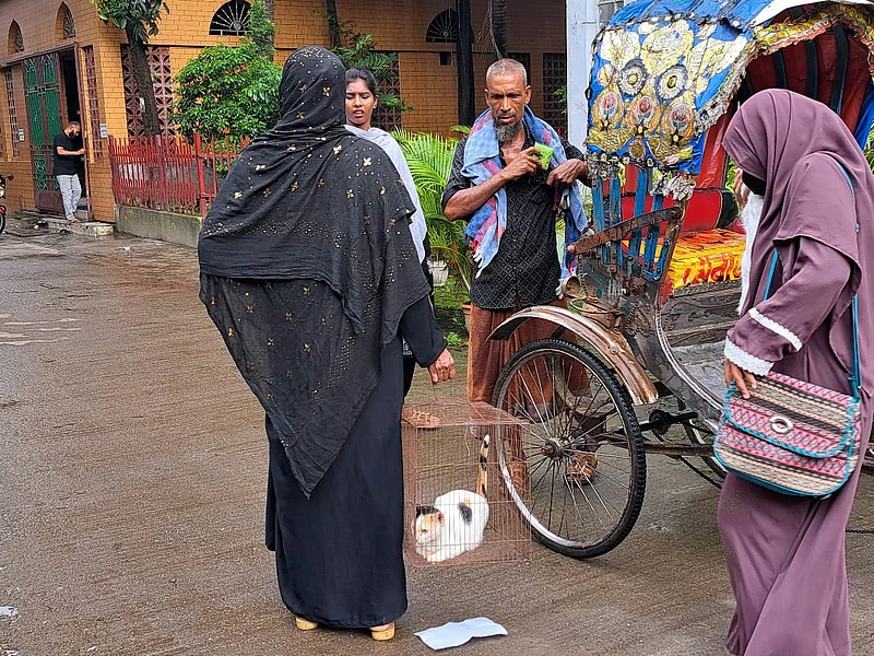 এই হাসপাতালে প্রতিদিন গড়ে ৭০০ থেকে ৮০০টি প্রাণীর চিকিৎসা দেওয়া হয়