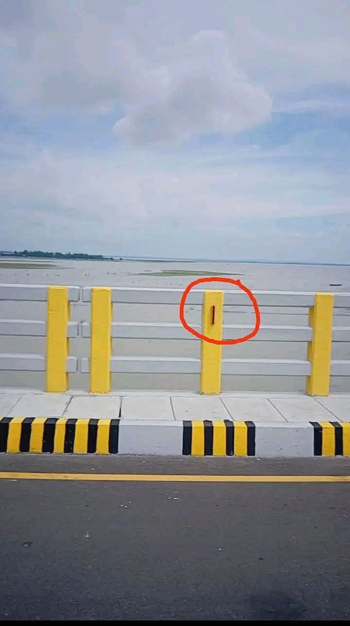মওলানা ভাসানী সেতুর শতাধিক রিফ্লেক্টর লাইট (লাল বৃত্তের মধ্যে) চুরি হয়েছেছবি: সংগৃহীত