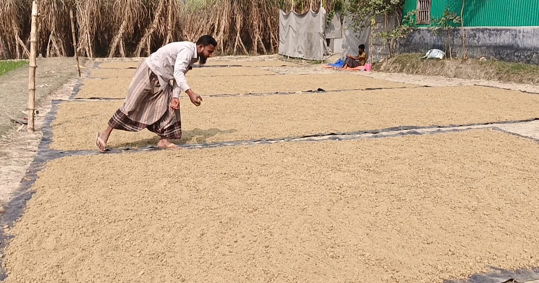ফুলবাড়িয়ায় আখের রস থেকে লাল চিনি তৈরির পর তা রোদে শুকানো হয়। সম্প্রতি তোলা।ছবি: প্রথম আলো