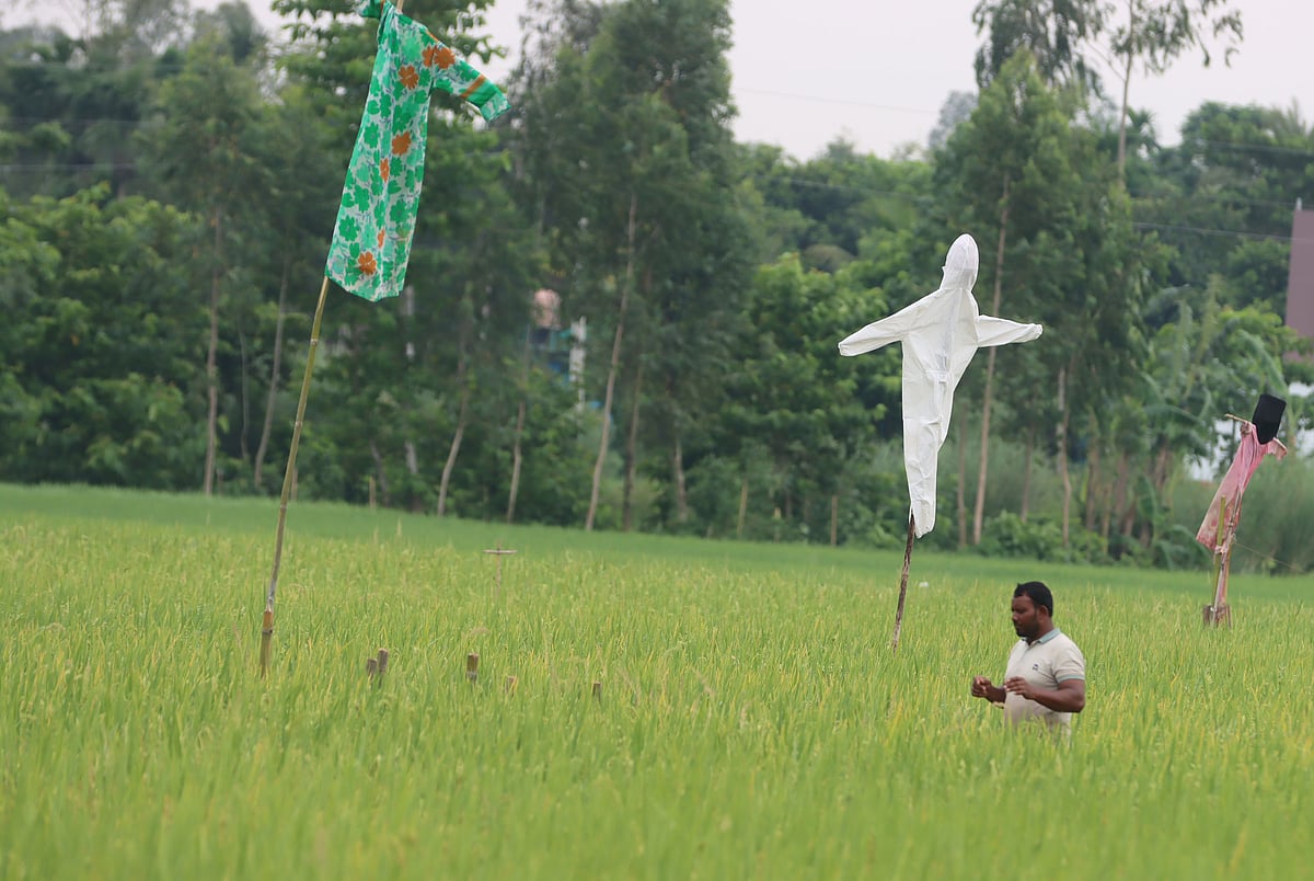 ছবি: মঈনুল ইসলাম