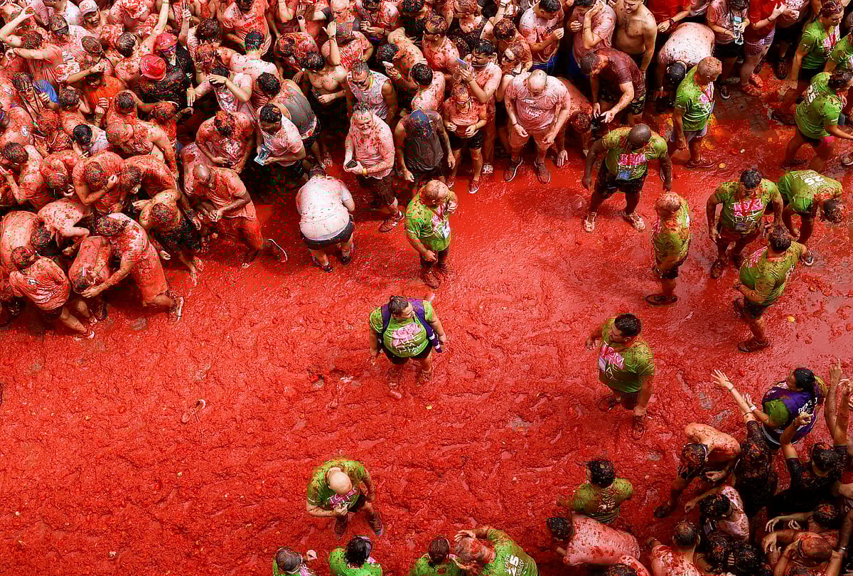 দেশি-বিদেশি পর্যটকেরা হাজির হয়েছেন স্পেনের ভ্যালেন্সিয়ায় টমেটো ছোড়ার উৎসবে। 