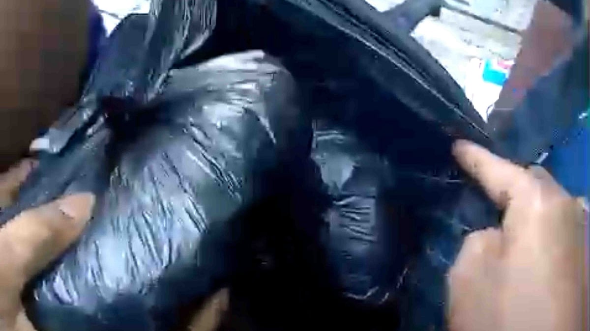 ছবি: ভিডিও থেকে সংগৃহীত