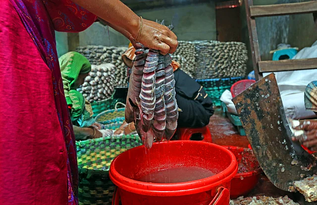 প্রথমে এভাবে কেটে পরিস্কার করে নেওয়া হয়