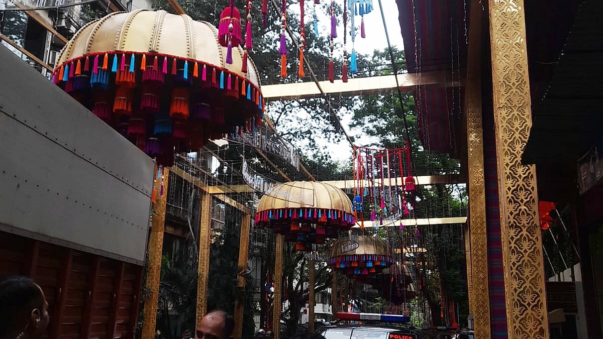 ছবি: লেখক