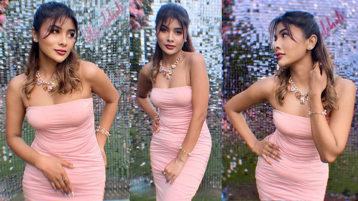 গোলাপি গাউনে আবেদন কাড়লেন টয়া