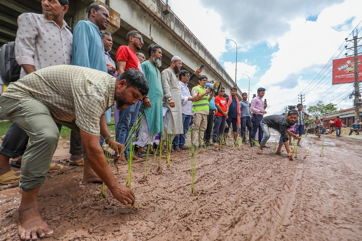 শিপইয়ার্ড সড়কের সংস্কারকাজ দ্রুত শুরু করার দাবিতে সড়কে ধানের চারা রোপণ করে প্রতীকী কর্মসূচি পালন করে নিসচা। আজ মঙ্গলবার দুপুরে খুলনার রূপসা সেতুর পশ্চিম পাশে শিপইয়ার্ড সড়কেছবি: প্রথম আলো