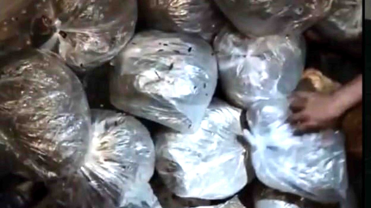 ছবি: ভিডিও থেকে সংগৃহীত