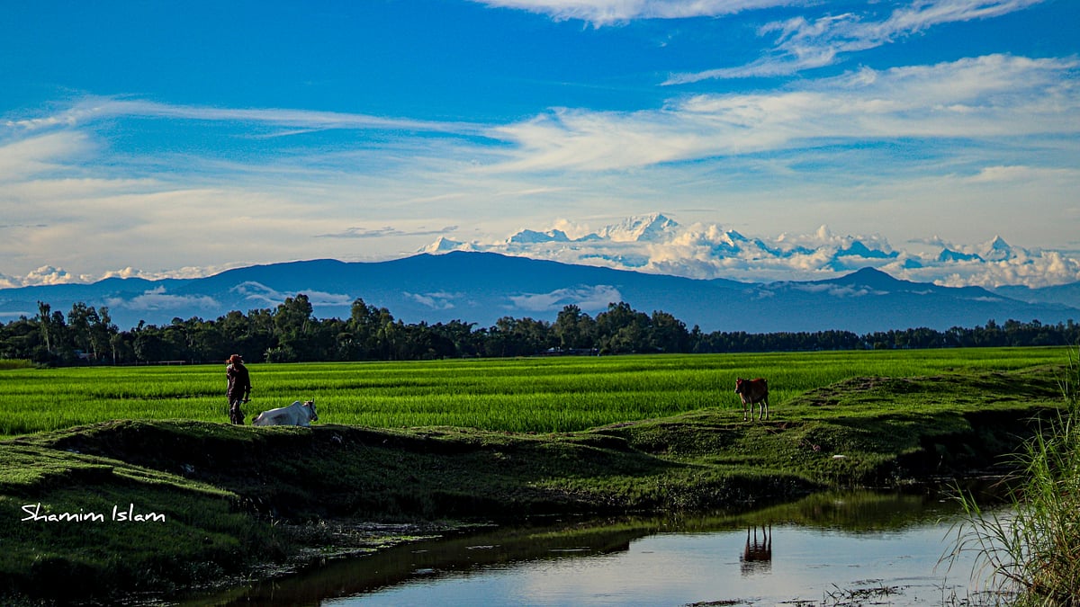 ছবি: শামীম ইসলাম