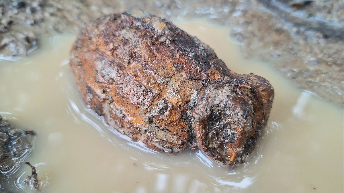 ছবি: প্রথম আলো