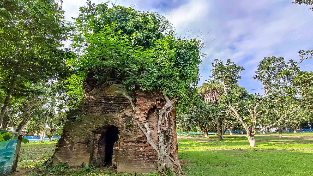 মন্দিরটির পাশে রয়েছে বিশাল আমবাগান