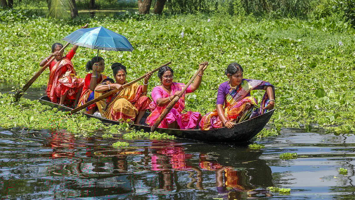 ছবি: সাদ্দাম হোসেন