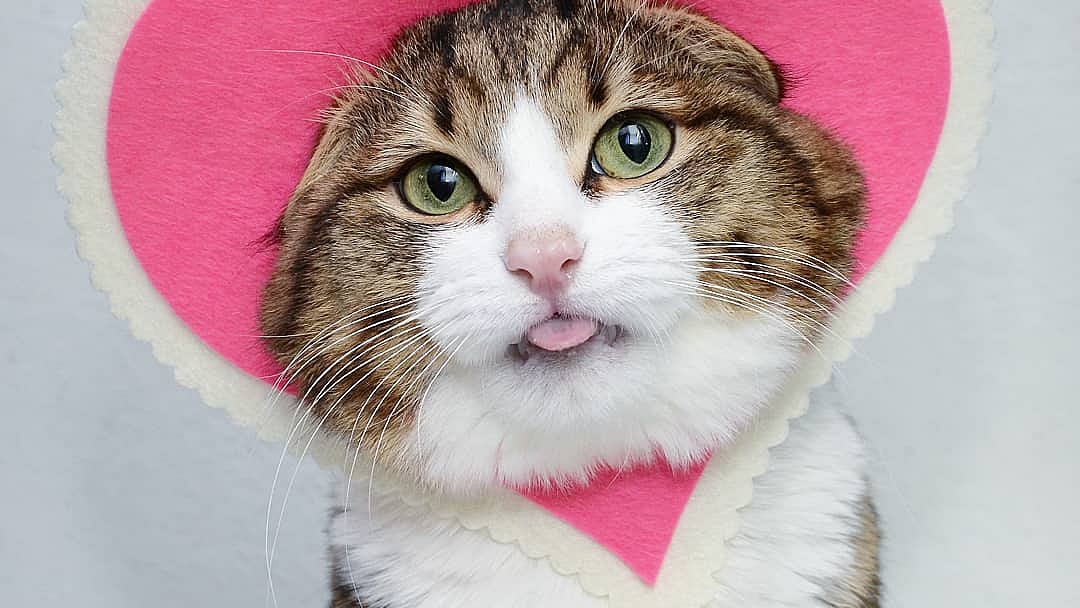 ছবি: ইনস্টাগ্রাম থেকে