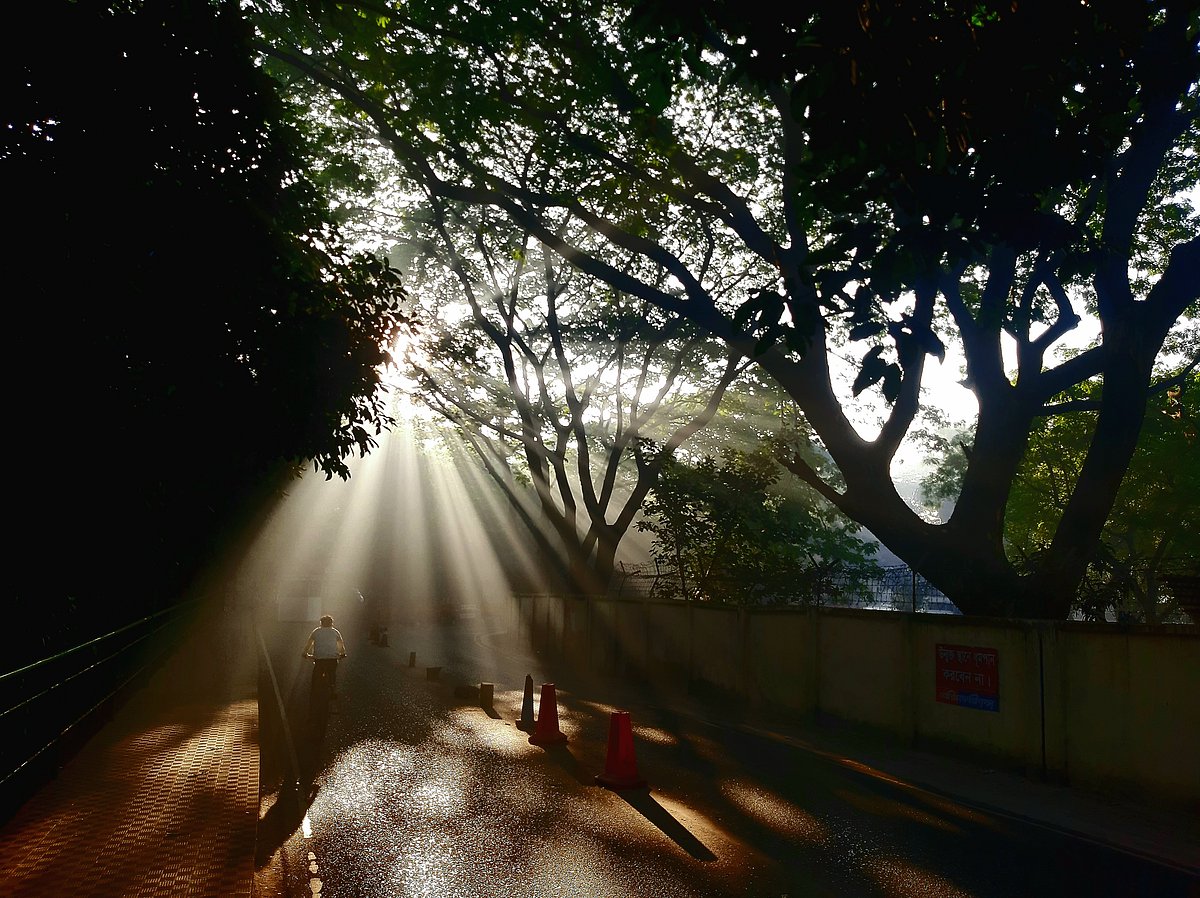 পাঠকের ছবি (১২ সেপ্টেম্বর ২০২৫)