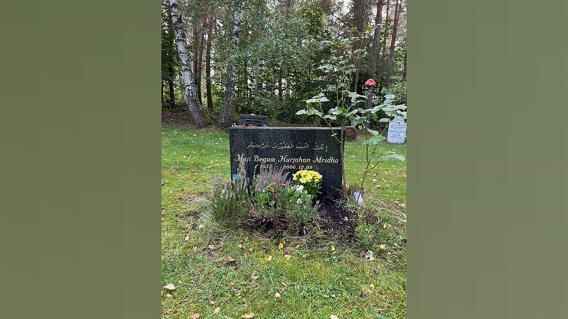 যাবার বেলায় বাবা হাত ধরে বলেছিলেন—‘দেখতে এসো, বাবা, তোমার মাকে।’