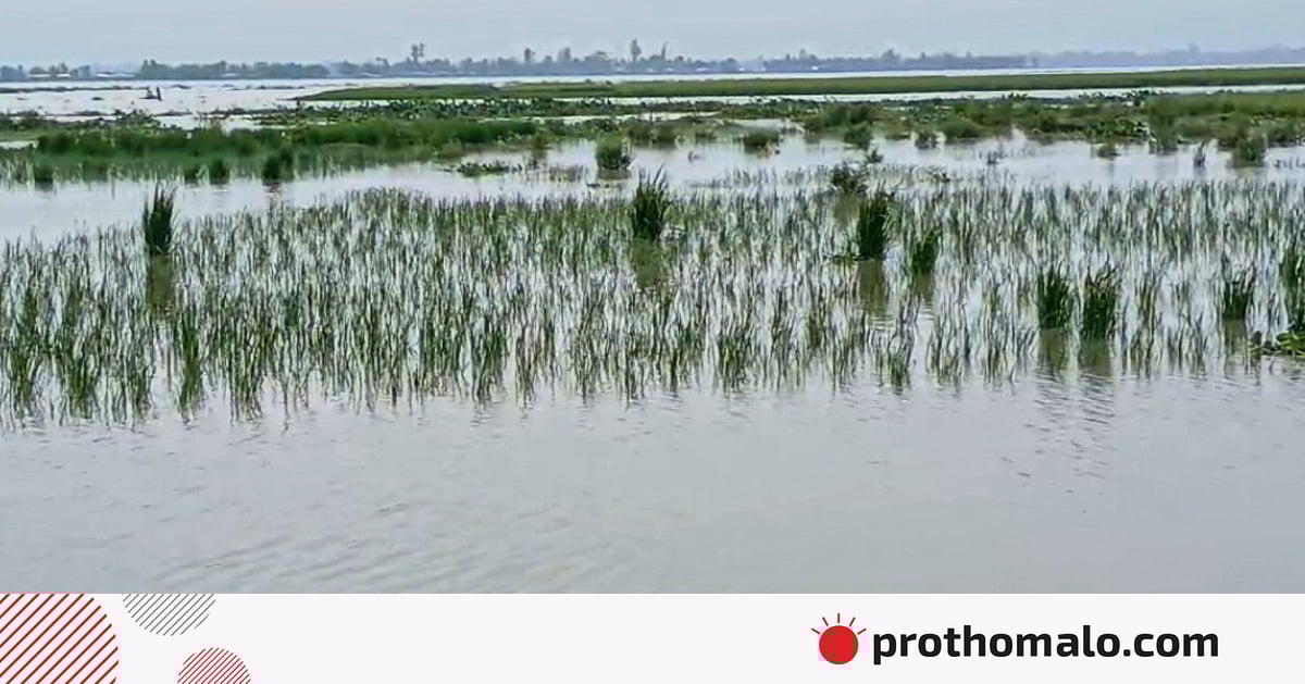 কুড়িগ্রামে দুধকুমার নদের পানি বিপৎসীমা ছুঁই ছুঁই, আরও বাড়ার শঙ্কা