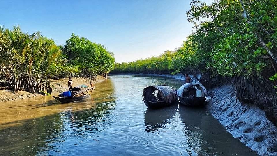 সুন্দরবন 
