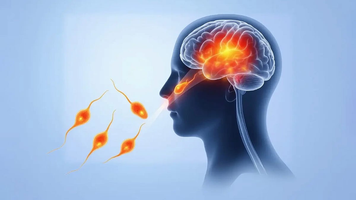 মস্তিষ্কখেকো অ্যামিবা: বর্তমান পরিস্থিতি ও সতর্কতা by ডা. কাকলী হালদার