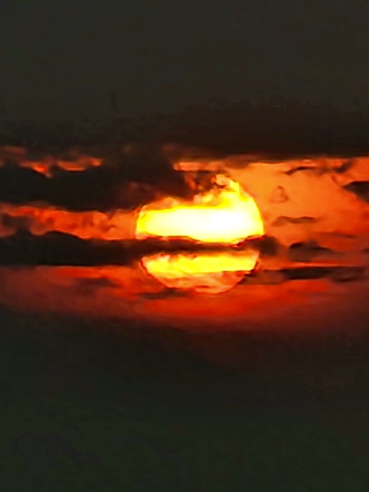 পাঠকের ছবি (২২ সেপ্টেম্বর ২০২৫)