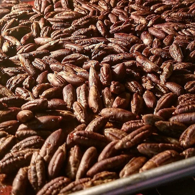 খেজুরের বীজে আছে প্রচুর আঁশ