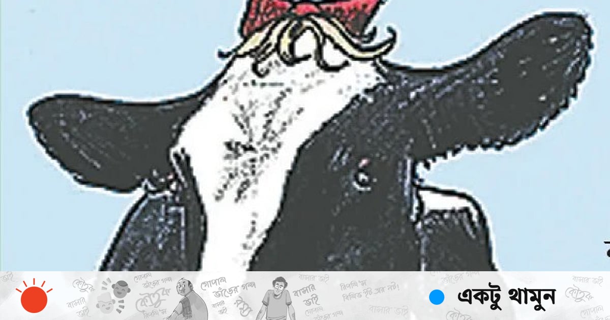 গরু নিয়ে প্রতিযোগিতা